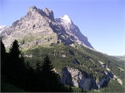 Walter 08.07.08-02.01.200906